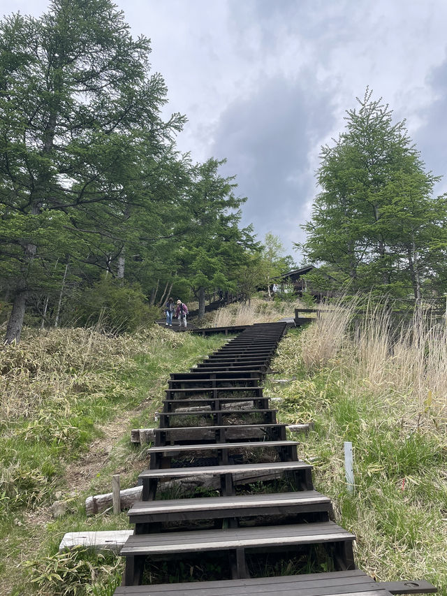 【山梨】清里に行ったら訪れたい絶景カフェ☕️⛰️