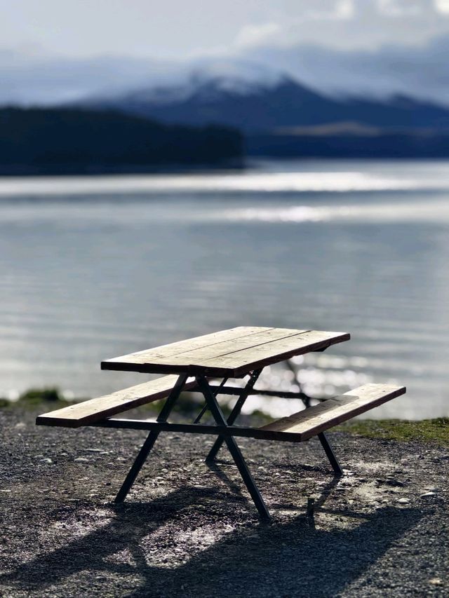 A Taste of Pure Freshness: Mount Cook Alpine Salmon Delight