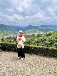 Coffee, Cities, and Color 🇨🇴 – A Colombian Journey