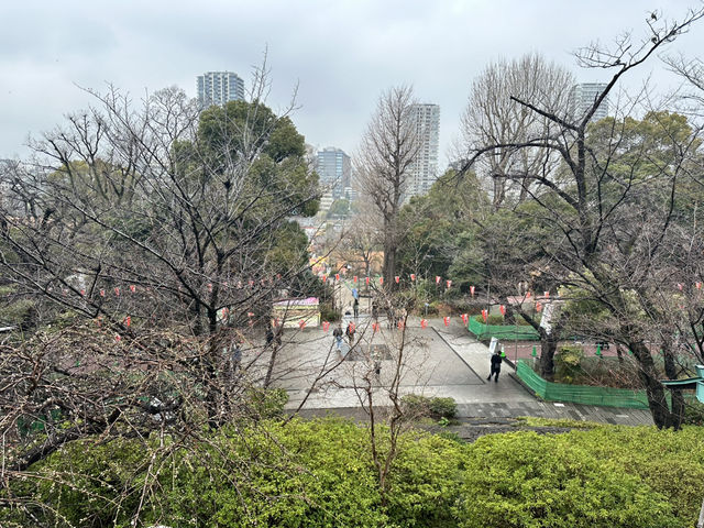 🔥「東京初見櫻花大爆發！穿越歷史畫卷的上野恩賜花園」