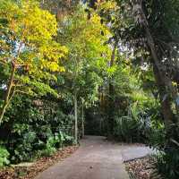 Sungei Buloh Wetland Reserve