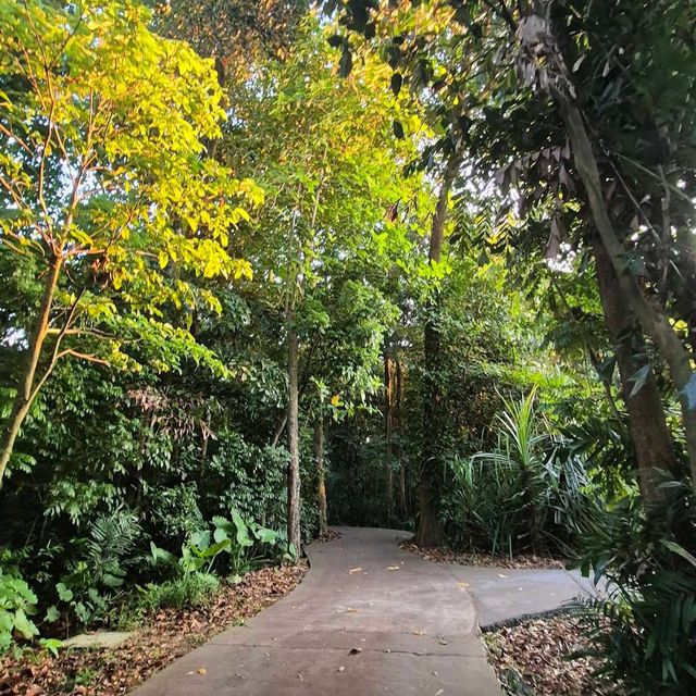 Sungei Buloh Wetland Reserve
