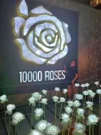 My experience at 10000 roses cafe and more