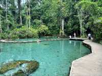 Baan Nam Rad Forest