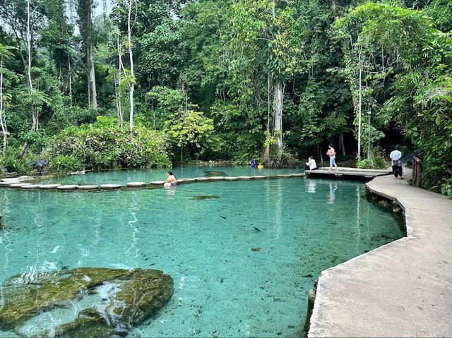 Baan Nam Rad Forest