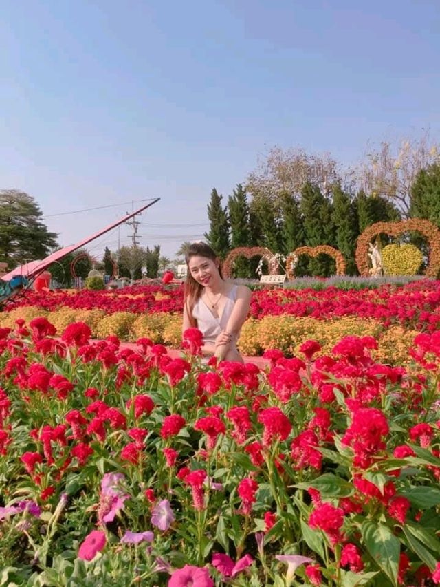 ไร่องุ่นซิลเวอร์เลค พัทยา