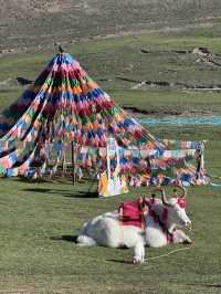 Qinghai trip