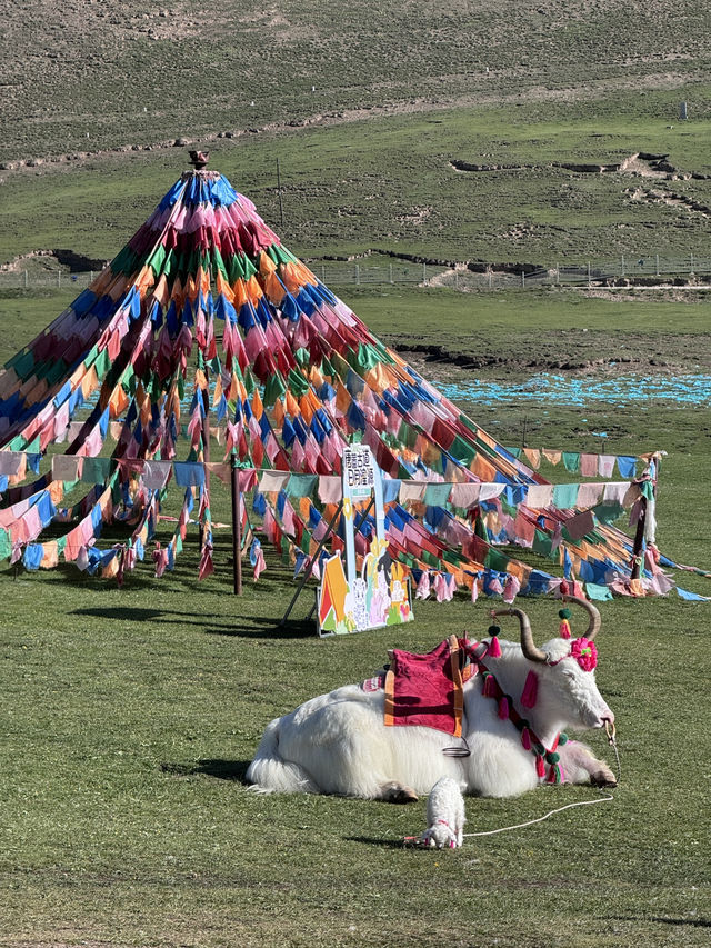 Qinghai trip
