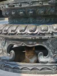 สายมูห้ามพลาด!! ไหว้พระ Longhua Temple เซี่ยงไฮ