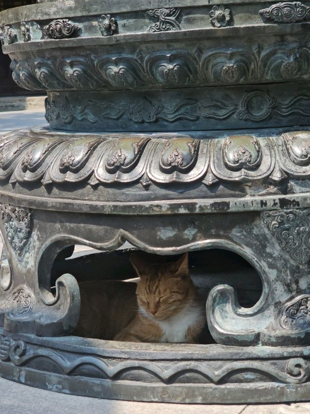สายมูห้ามพลาด!! ไหว้พระ Longhua Temple เซี่ยงไฮ
