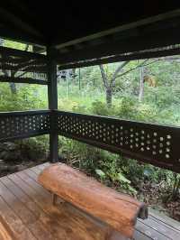 ♨️ 箱根：溫泉、自然與藝術完美交織的療癒之地