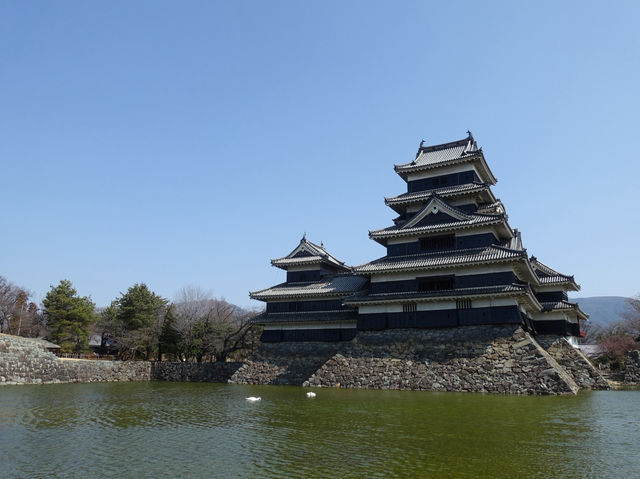 🏯 Matsumoto-jō Castle – Majestic, Peaceful, and Unforgettable
