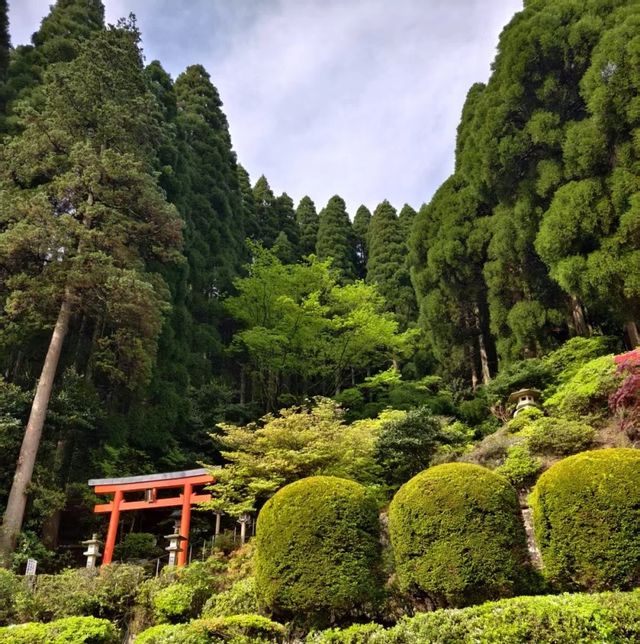 ～神聖寧靜~豐受大神宮～