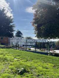 🎨紐西蘭小眾藝術之旅｜懷卡托美術文化博物館 Waikato Museum｜走進毛利與現代的交界