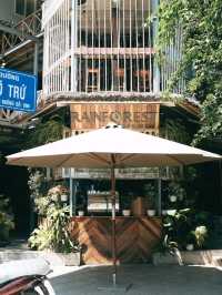 rain forest