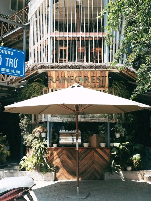 rain forest