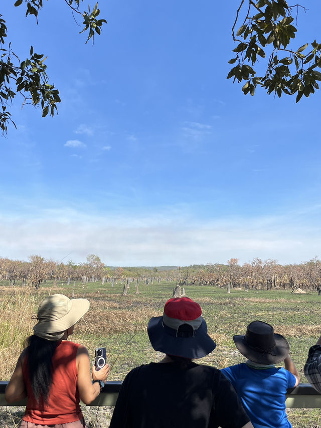 達爾文 🧭走進「白蟻墓園」：Magnetic & Cathedral Termite Mounds