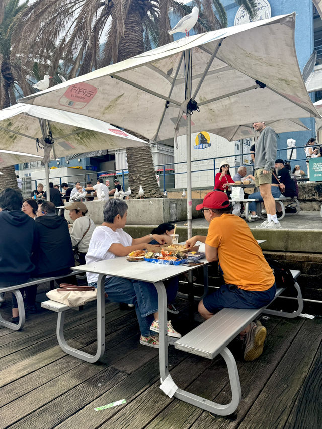 🦞🐟 Fresh from Sydney Fish Market! 🐚🧑‍🍳