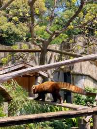 ～新竹市立動物園～優雅動物王國～