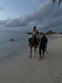 馬爾地夫🇲🇻海邊騎馬初體驗