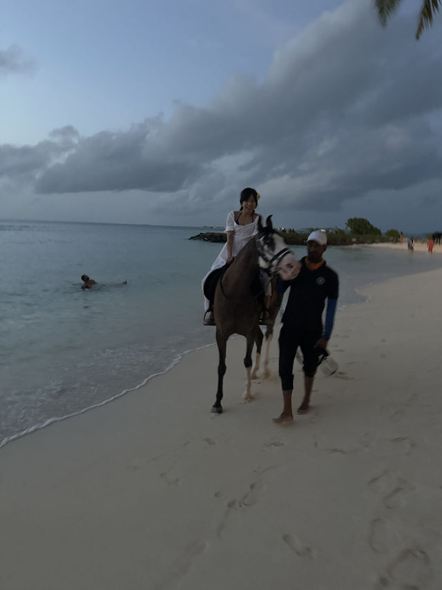馬爾地夫🇲🇻海邊騎馬初體驗
