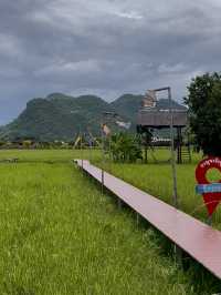 รักษ์คันนา กาญจนบุรี ก๋วยเตี๋ยวห้อยขาทุ่งนาข้างวัด