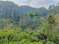 Grand Al jabar mosque, japanese and Netherlanies cave bandung 
