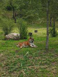 ~汕頭動物園~奇妙世界~