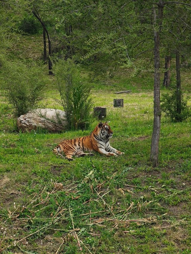 ~汕頭動物園~奇妙世界~