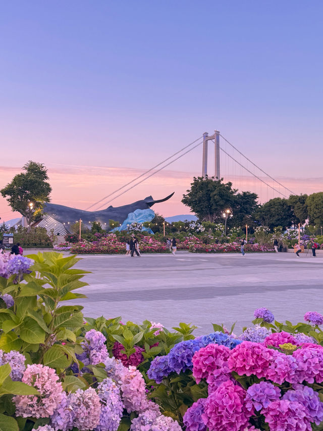 여름하면 역시 수국! 장생포 수국축제💜