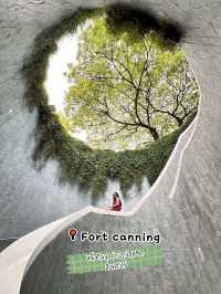 อุโมงค์ Fort Canning Tree Tunnel สิงคโปร์
