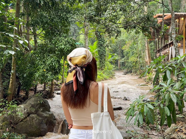 🌿 ธารชีวี แม่แมะ – หลงรักธรรมชาติในทุกลมหายใจ 🍃