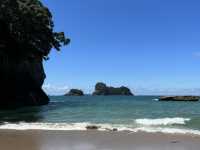 紐西蘭旅遊景點—⛱ Cathedral Cove｜電影場景般的夢幻秘境
