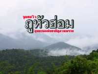 ที่นี่ !! ภูหัวฮ่อม 🌈 อุทยานแห่งชาติภูสวนทราย