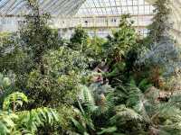 Kew Gardens: A Botanical Oasis in London! 🇬🇧🌿
