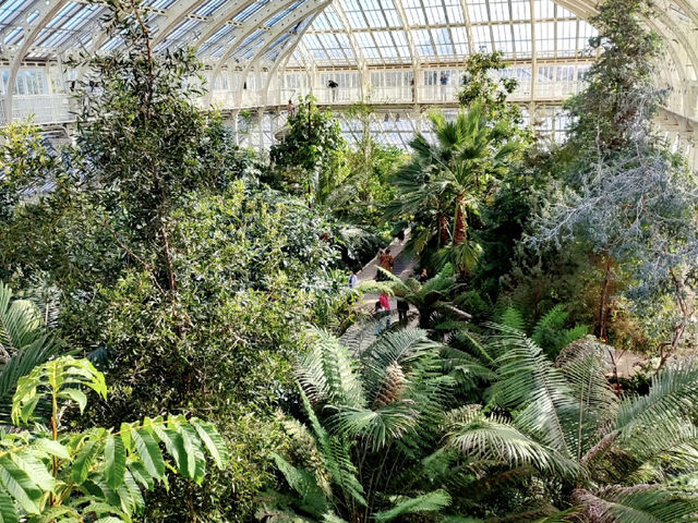 Kew Gardens: A Botanical Oasis in London! 🇬🇧🌿