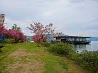 🌅 Lakeside Bliss at Toya Sun Palace: Onsen Dreams and Mountain Views