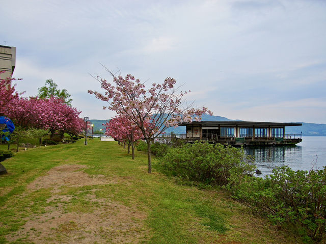🌅 Lakeside Bliss at Toya Sun Palace: Onsen Dreams and Mountain Views