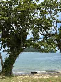 #Pangkorisland #PulauPangkor #Malaysia