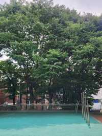 🌳잠시 휴식하기 좋은 군포 금정동 작은공원, "느티울어린이공원"🌳