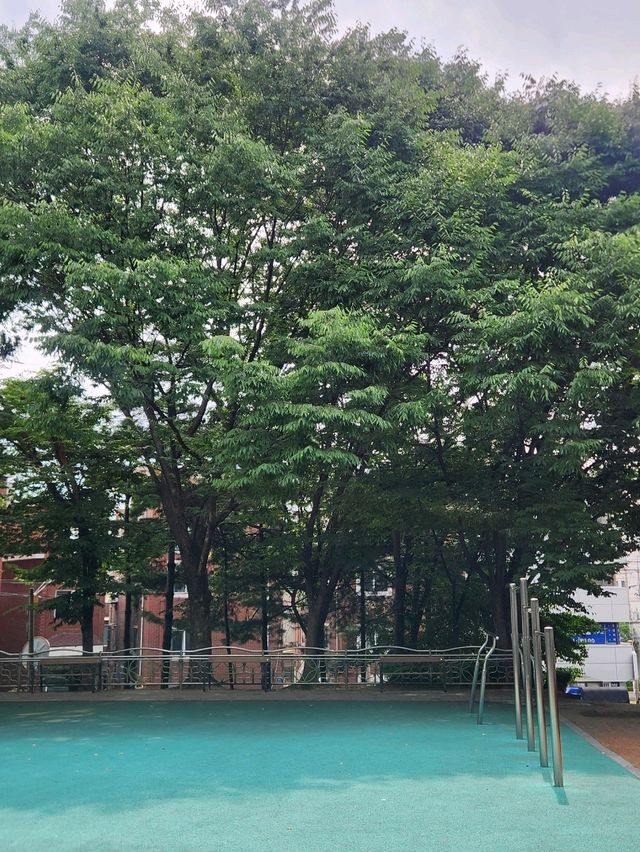 🌳잠시 휴식하기 좋은 군포 금정동 작은공원, "느티울어린이공원"🌳