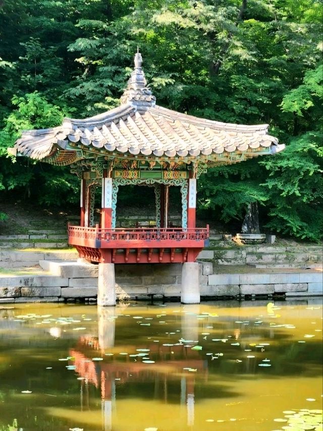 A Royal Stroll Through Changdeokgung and Its Secret Garden