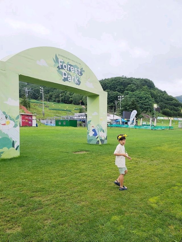 평창 휘닉스 숲속 캠핑BBQ