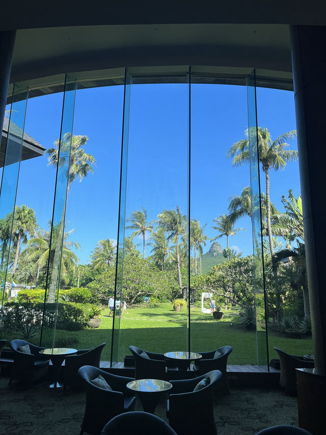 바다 앞 럭셔리 힐링🌴 컨딩 시저파크호텔 숙박 후기