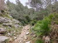Hidden Castle Feels at Santa Magdalena de Pulpis