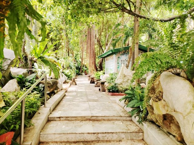 Park Garden in temple 