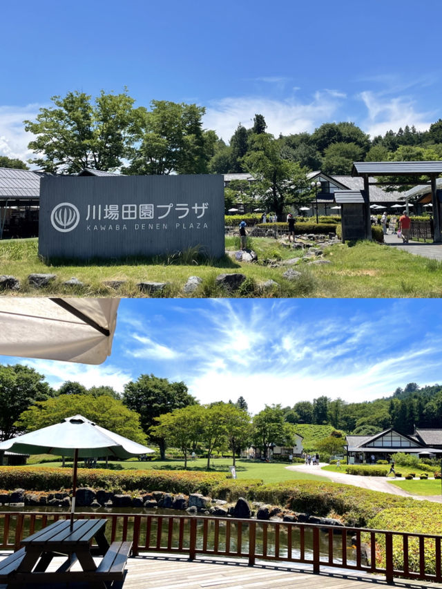 【群馬】日本一になった大人気道の駅 園内のブルーベリーは無料で摘み取り！
