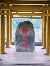 Qujiang Lake 🌺 