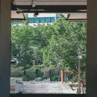 Deoksugung Palace: Where Joseon Meets Modern Seoul – A Solo Traveler’s Timeless Escape"** 🏯🌆