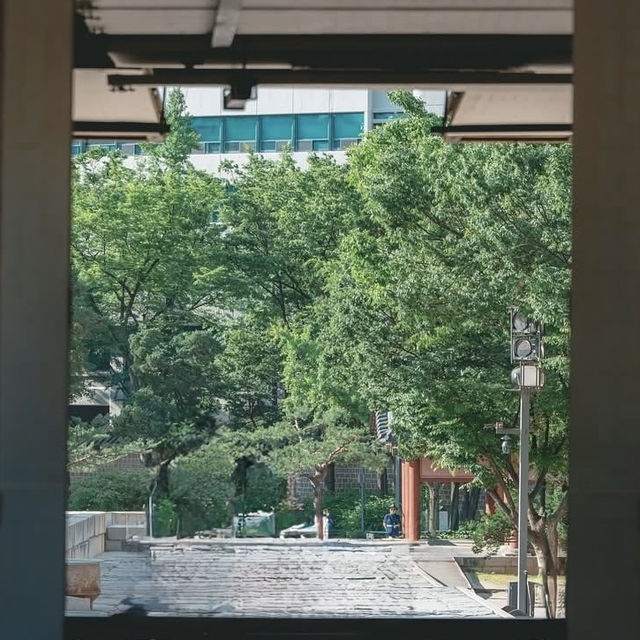 Deoksugung Palace: Where Joseon Meets Modern Seoul – A Solo Traveler’s Timeless Escape"** 🏯🌆